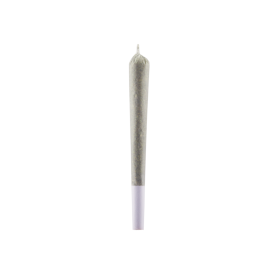 Palitos de flores de CBD - Poppers 365